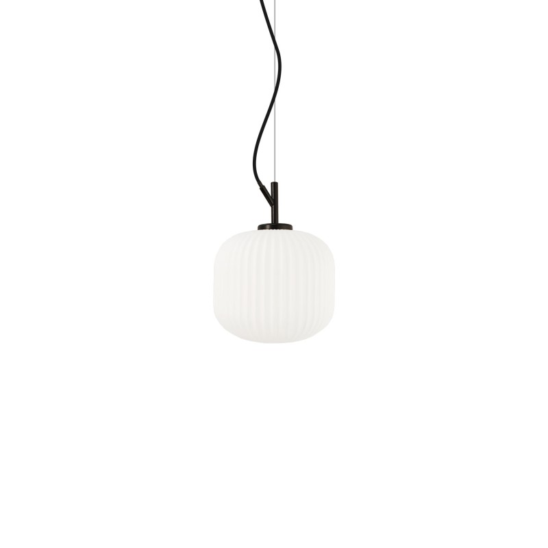 CASONE metal E27 LED black color simple pendant
