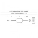 Garland controller with remote control and connection