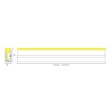 LED Neon 24V, 120º beam angle, 12W/meter, dimmable, IP67 rated.