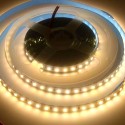 5-meter roll of 24V LED strip with a 120º beam angle, various adjustable power levels, and suitable for indoor use with an IP20 