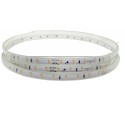 5-meter roll of LED strip 24V with a 120º opening, various adjustable power levels, IP65 for outdoor use.