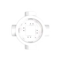 Porcelain base with 4 outlets for 20 mm tube | LightingDIY