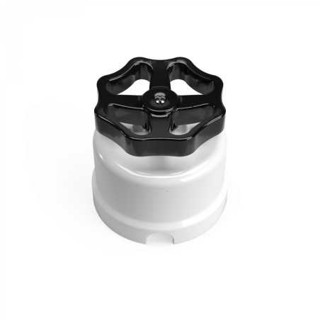 White porcelain switch with colored rosette