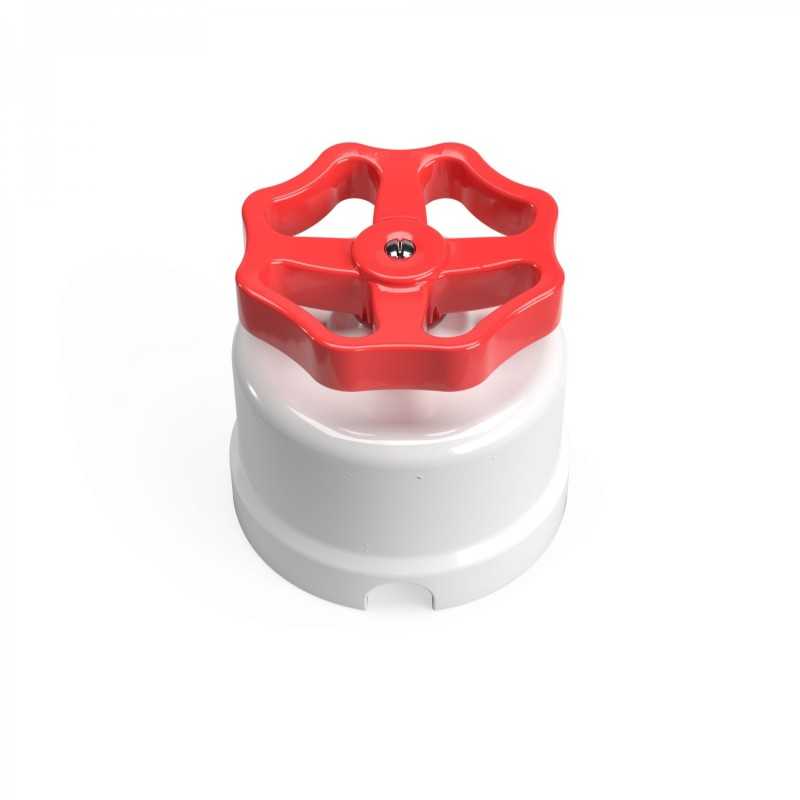 White porcelain switch with colored rosette