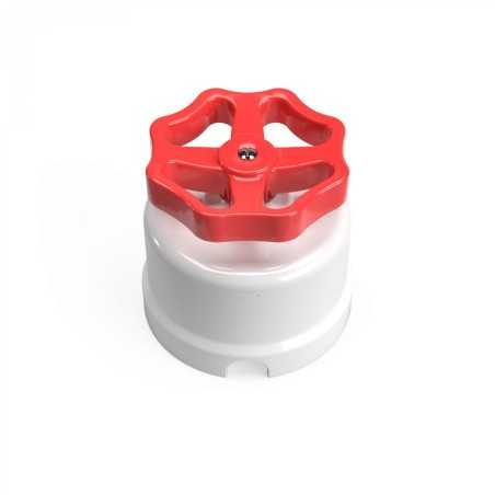 White porcelain switch with colored rosette