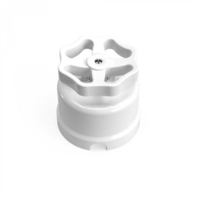 White porcelain switch with colored rosette