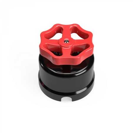 Black porcelain switch with colorful rosette