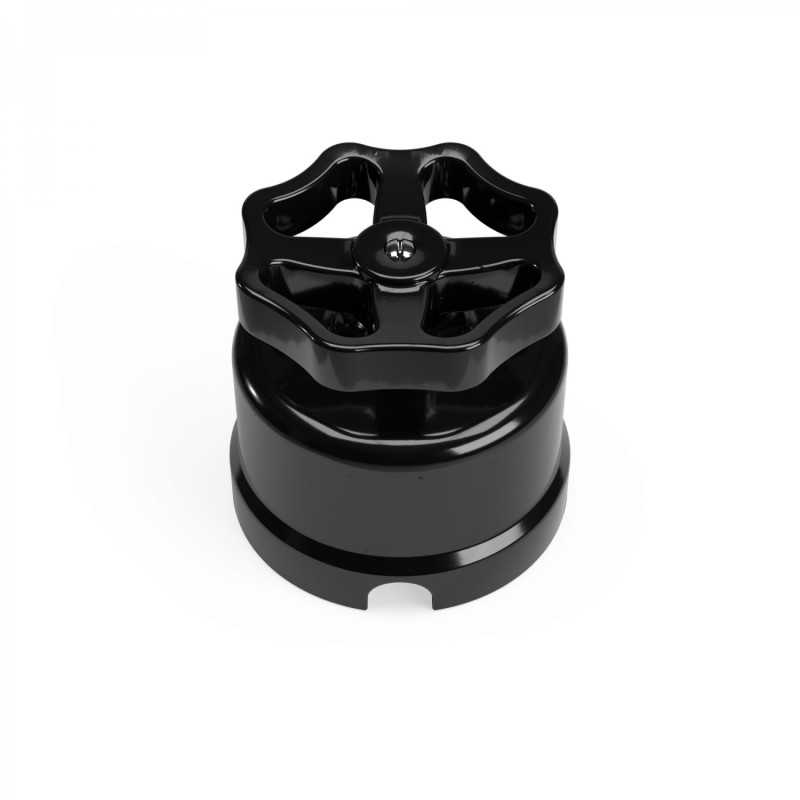 Black porcelain switch with colorful rosette