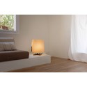 Table lamp steel E27 black VIANGES