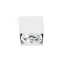 Aluminum AR111 matte white ceiling lamp ARBONNE