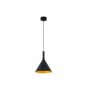 Ceiling lamp with integrated black steel LED DARNIS